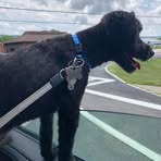 Profile Picture of Joseph Bachner (@joseph.bachner.1) on Facebook