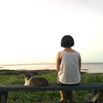 Profile Picture of Lucy Chou (@strollern) on Instagram