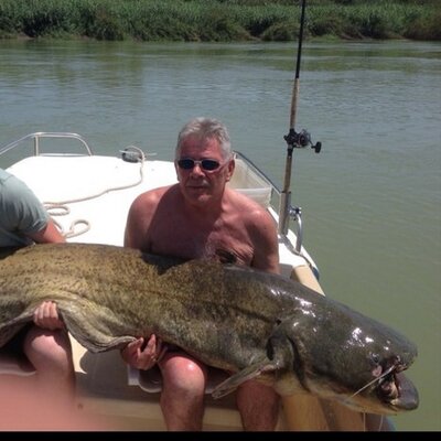 Profile Picture of Steve Bridgeman (@SteveB2510) on Twitter