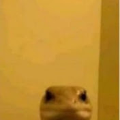 Profile Picture of Kevin Dede (@kevin_dede) on Youtube