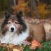 Profile Picture of Jill Burleson (@kjburl00) on Pinterest