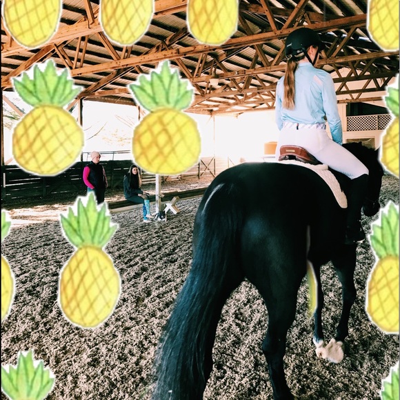 Profile Picture of Madison Mascuch (@madisonmascuch) on Poshmark