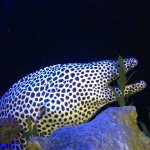 Profile Picture of Dustin Drake (@bigdrake13) on Instagram