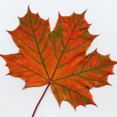 Profile Picture of Cheryl Martini (@CherylMartini6) on Twitter