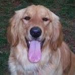 Profile Picture of Catherine Chitty (@catherine.chitty.3) on Facebook