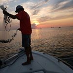 Profile Picture of Mike Shealy (@mshealy65) on Instagram