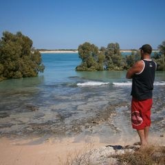 Aaron Honess - Tiktok Profile Picture of Aaron Honess (@aaronhoness) on Tiktok