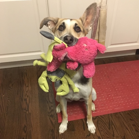 Profile Picture of Sara Dewildt (@smmahieux) on Poshmark