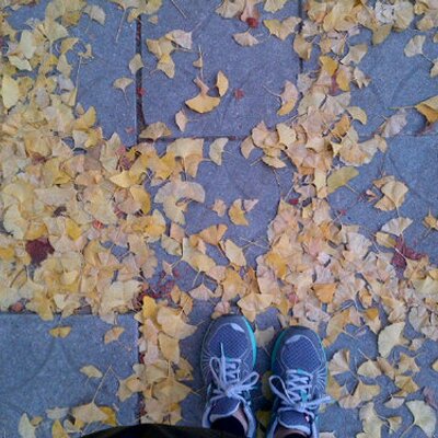 Profile Picture of Bae Hye Jeong (@bhjeong_) on Twitter