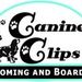 Profile Picture of Carla Maynor (@cclips) on Pinterest
