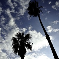 Profile Picture of Tyler Sanderson (@tyler-sanderson-23) on Quora