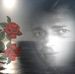 Profile Picture of Kevin Schön (@kevin.schon.33) on Facebook