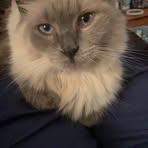 Profile Picture of Jan Swanger (@jan.swanger.2025) on Facebook