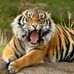 Profile Picture of Daniel Moldovan (@daniel.moldovan.1238) on Facebook
