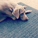 Jana Mikysková - Instagram Profile Picture of Jana Mikysková (@mikyskovajana) on Instagram