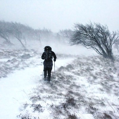 Profile Picture of Moreno Vrancich (@Moreno_Vrancich) on Twitter