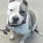 Profile Picture of Keith D Pettice (@keithpettice) on Instagram