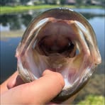 Profile Picture of Landon Clapper (@Landon-Clapper) on Facebook