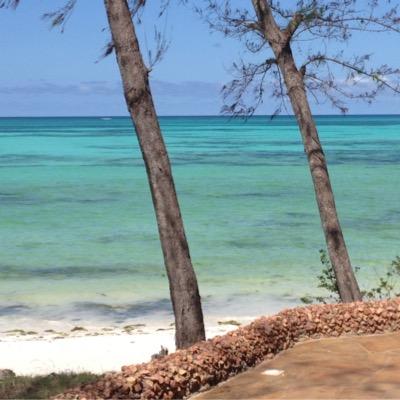 Profile Picture of Lisa Nickerson (@cvillelisa) on Twitter