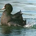 Profile Picture of Ralph Gabler (@ralph.gabler.1) on Instagram