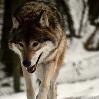 Profile Picture of Carl Herbst (@carl-herbst-1) on Quora