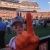 Profile Picture of Joel Raper (@joelraper) on Pinterest