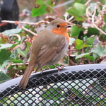 Profile Picture of Helen Roberts (@helenroberts08) on Flickr