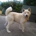 Profile Picture of Peter O Donnell (@peter.odonnell.3576) on Facebook