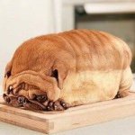 Profile Picture of Nolan Bailey (@nolan_bailey13) on Instagram