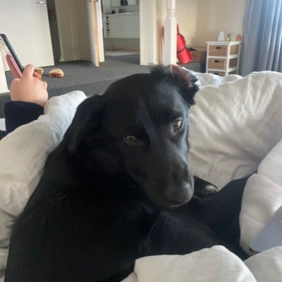 Jake Bracken - Twitter Profile Picture of Jake Bracken (@jakebracken6) on Twitter