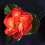 Matthew Phelan - Instagram Profile Picture of Matthew Phelan (@matthewbphelan) on Instagram