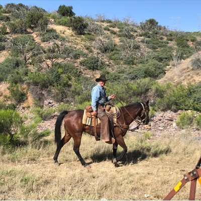 Profile Picture of Bill & Lori Brown (@BillLoriBrown1) on Twitter