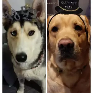 Profile Picture of sofia_pavlidiZeus -Herα (@sofia_pavlidi) on Tiktok