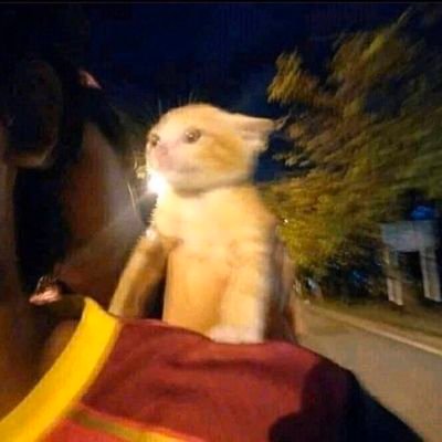 Profile Picture of Arpita Patel (@Arpi_120700) on Twitter