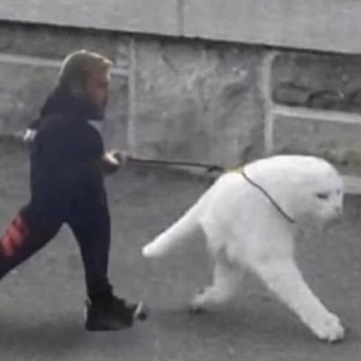 Profile Picture of David Gutman (@DavidGutman13) on Twitter