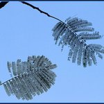 Profile Picture of Jaylyn Newton (@jaylynnewton) on Instagram