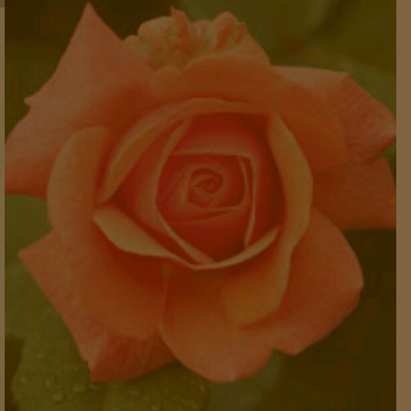 Profile Picture of Tori Freestone (@toriif) on Poshmark