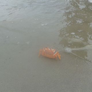 Profile Picture of Lucila Ascona (@lucila.ascona) on Facebook