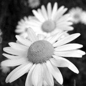 Profile Picture of Debbie Jo __ (@329617001) on Myspace