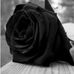 Profile Picture of Rita Hidalgo (@rita.hidalgo.7505) on Facebook