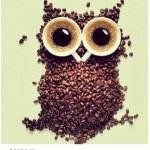 Profile Picture of Jamie Colt (@jamie___colt) on Instagram