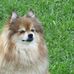 Profile Picture of Faye Sommerset Shifflett (@faye.smith.3705157) on Facebook