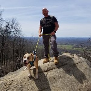 Profile Picture of Matt Tehonica (@MTehonica) on Twitter