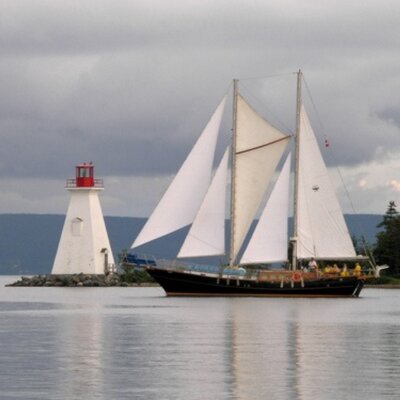 Profile Picture of Brenda Long (@Brendalong1Long) on Twitter