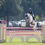 Haras Santa Barbara - Facebook Profile Picture of Haras Santa Barbara (@harassanta.barbara.54) on Facebook