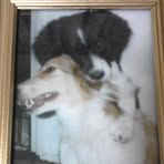 Profile Picture of Janet Wisinski (@janet.wisinski.7) on Facebook