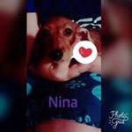 Profile Picture of Batiste Jerome (@jerome.batiste14) on Instagram