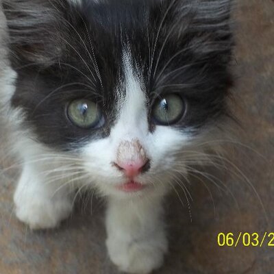 Profile Picture of Jenifer Dsouza (@jeniferdsouza2) on Twitter