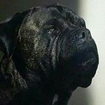 Profile Picture of jonbradley (@j_brad150) on Instagram