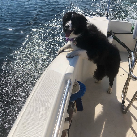 Profile Picture of Jodi Frithsen (@mrsfritta) on Poshmark